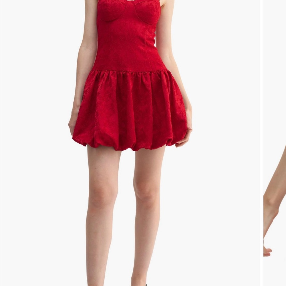 Lush Red Mini Dress